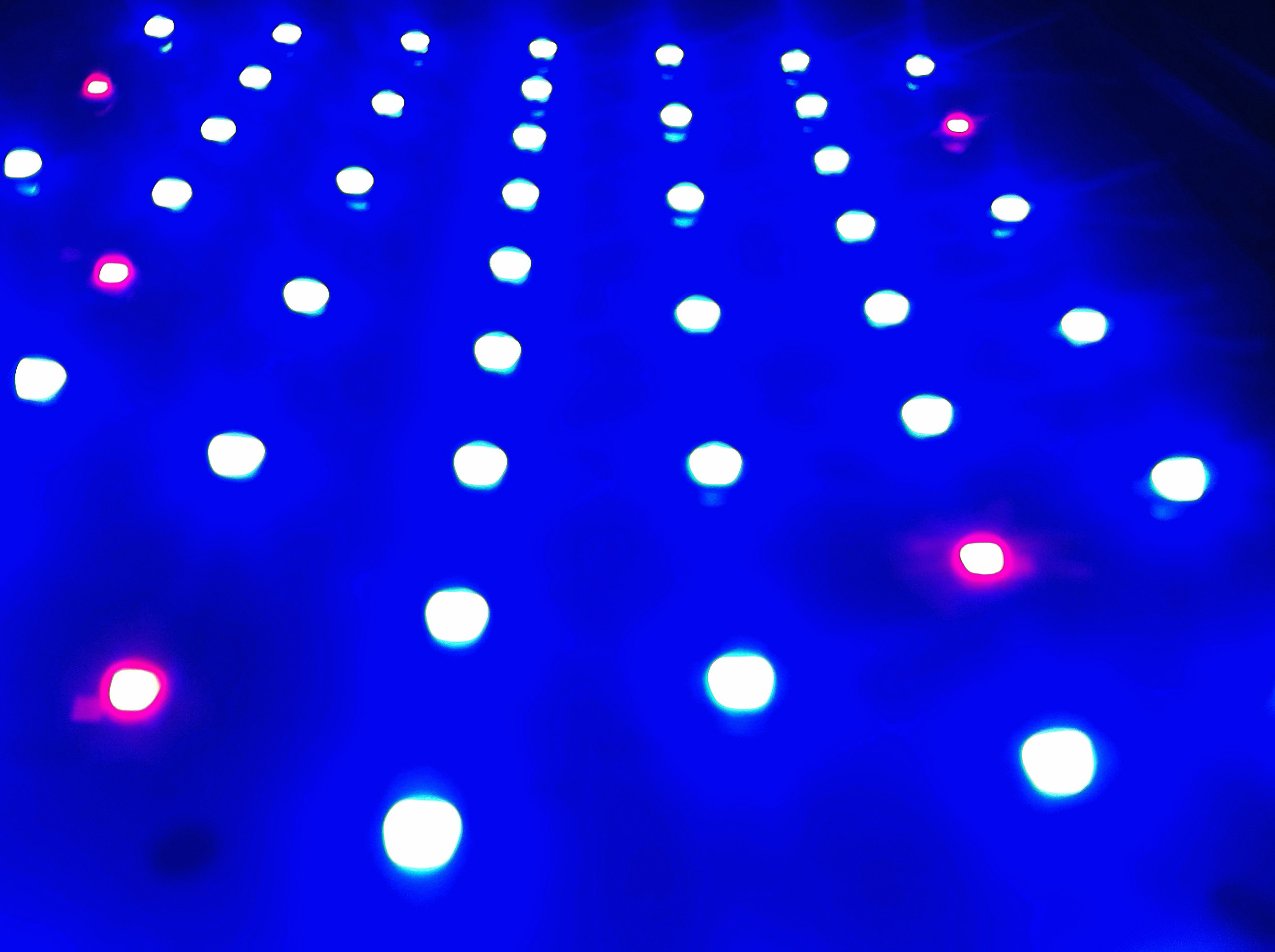Example of red and blue LEDs with the phosphor removed